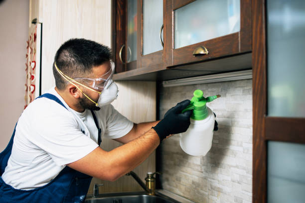 Best Best Pest Control Companies  in Louisville, GA