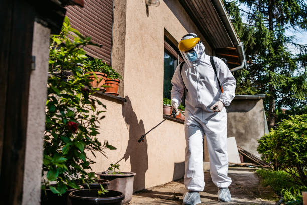 Best Pest Prevention Services  in Louisville, GA