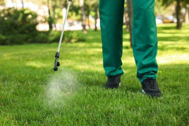 Reliable Louisville, GA Pest Control Solutions