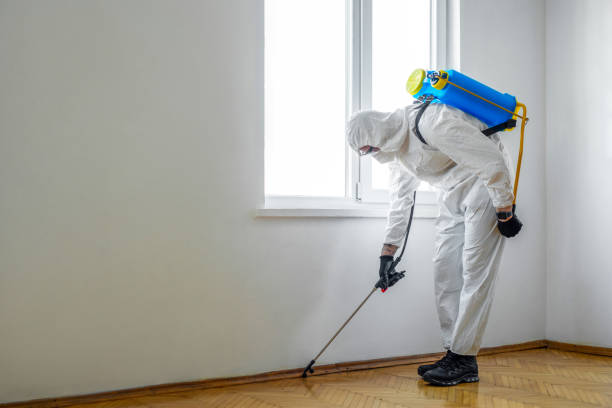 Best Wildlife Control Services  in Louisville, GA