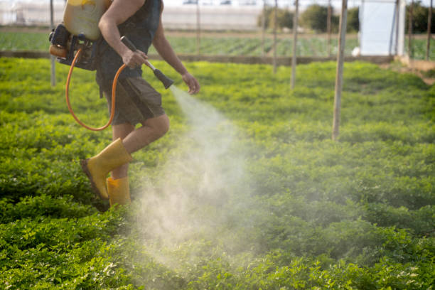 Pest Control for Restaurants in Louisville, GA