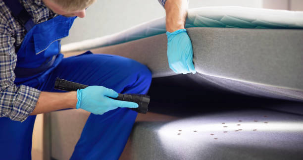 Best Wasp Removal Services  in Louisville, GA