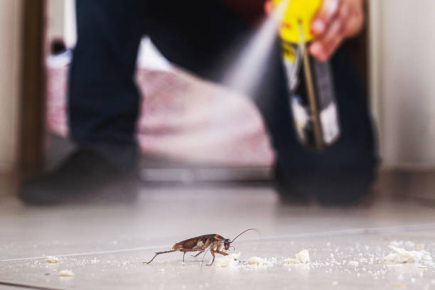 Best Emergency Pest Control  in Louisville, GA