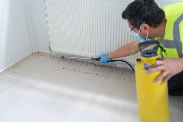 Best Pest Inspection Near Me  in Louisville, GA
